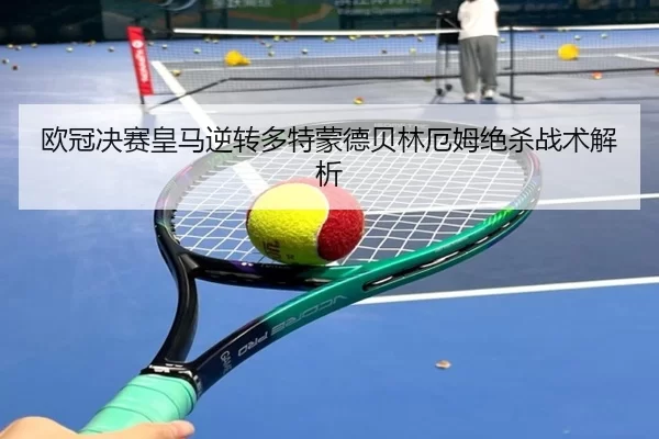 ou-guan-jue-sai-huang-ma-ni-zhuan-duo-te-meng-de-bei-lin-e-mu-jue-sha-zhan-shu-jie-xi-2-712.jpg